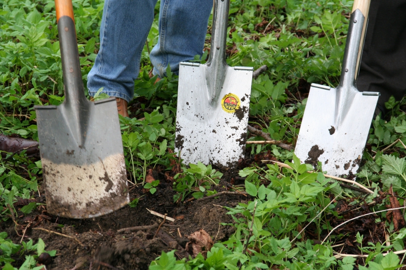 pepiniere-ROCBARON-min_work-lawn-flower-tool-green-backyard-1103633-pxhere.com